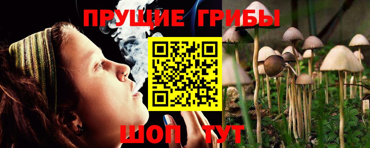 Первоуральск  где купить наркоту  Вход с VPN  Галлюциногенные грибы MAGIC MUSHROOMS 